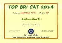 Dyplom za zajęcię 10 miejsca konkursu TOP BRI CAT w kategorii młodzież (3-10 m-cy) – KOTKI